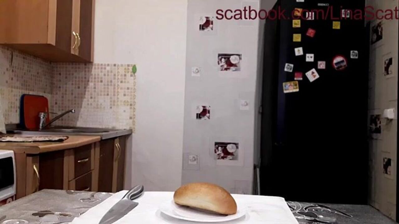 Watch scat porn videos of poop slaves getting drilled in their scats