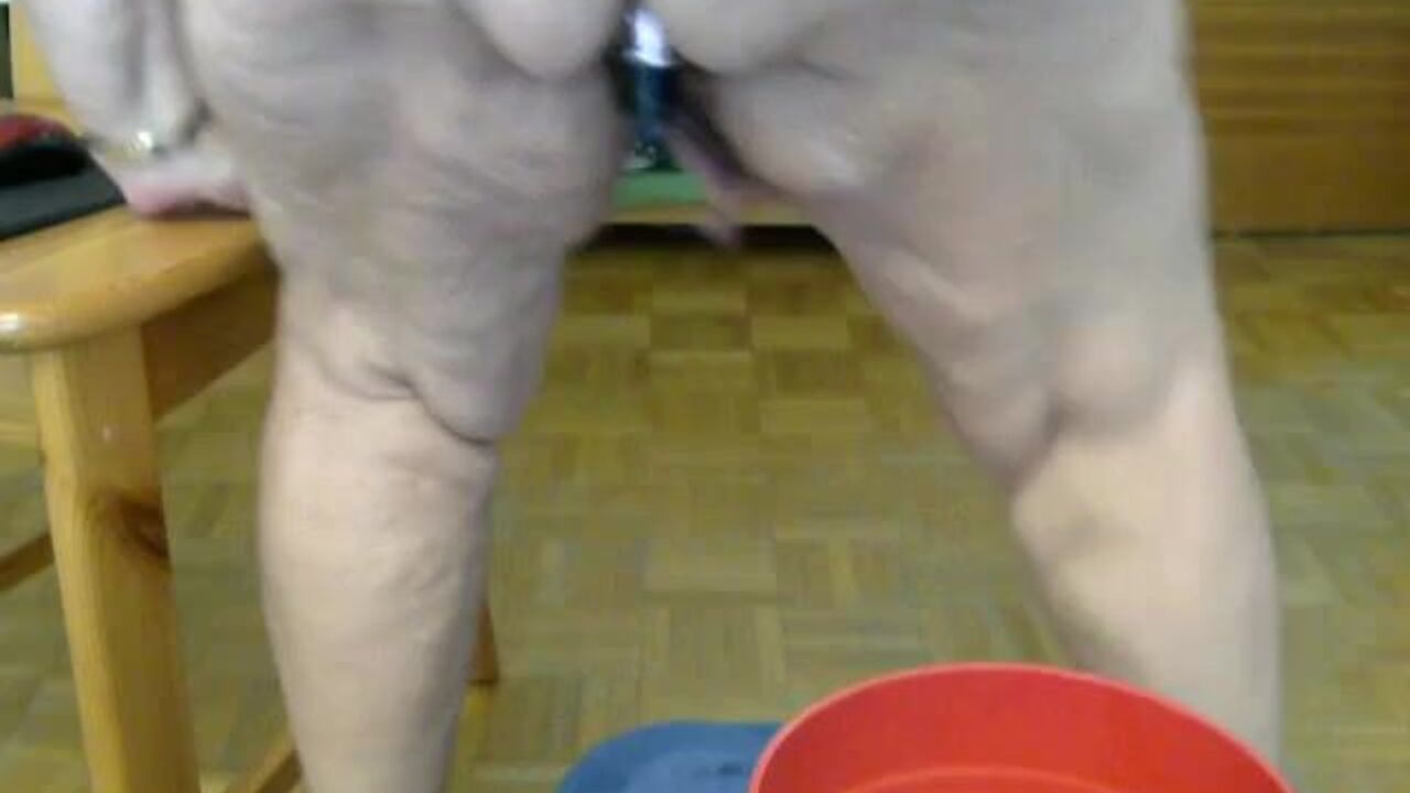 Get up close and personal with these kinky scat girls in alt- und-versaut 3!