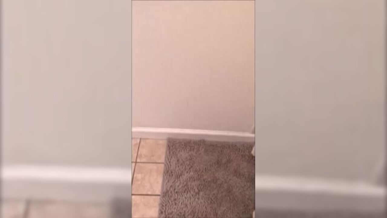 Watch this slutty girlfriend get her big poops filled up with more scat