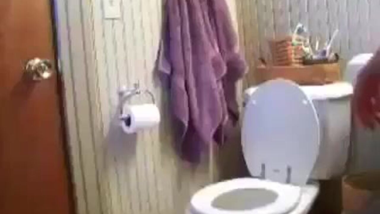 Watch this kinky slut pee on the toilet & get her pussy pounded