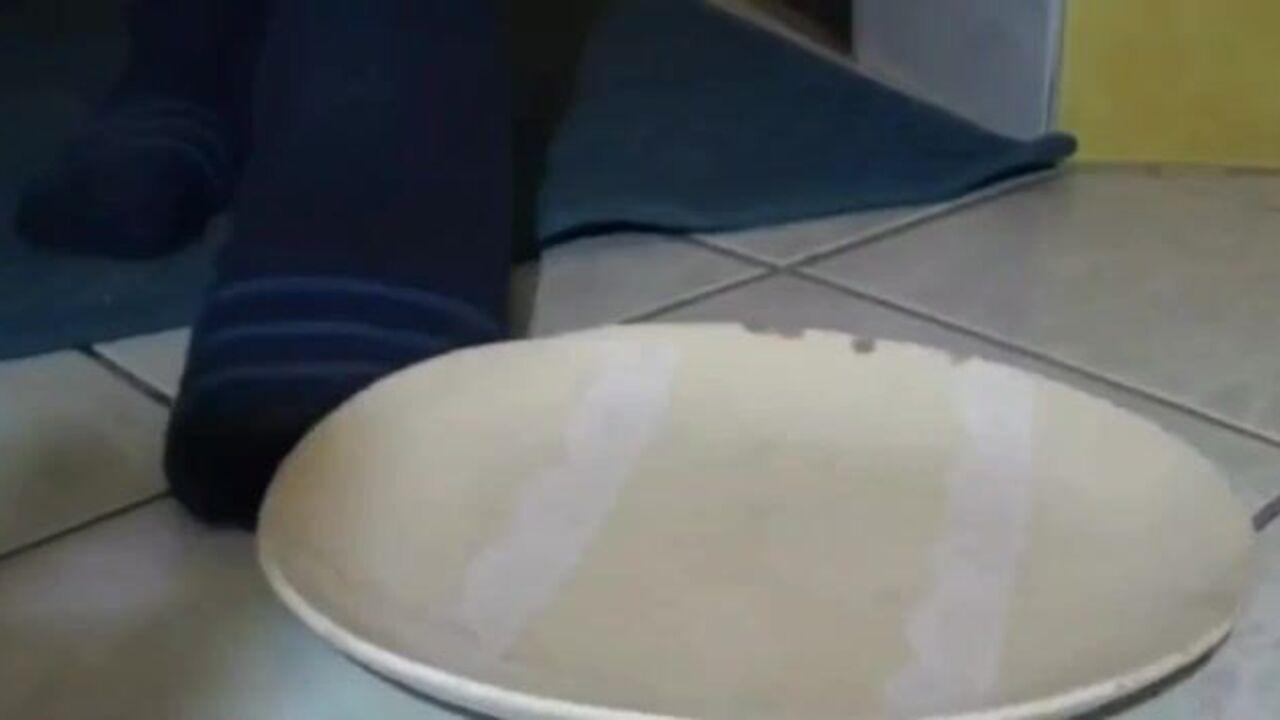 Get off to this scat porn video of a filthy slut getting off with a big dick