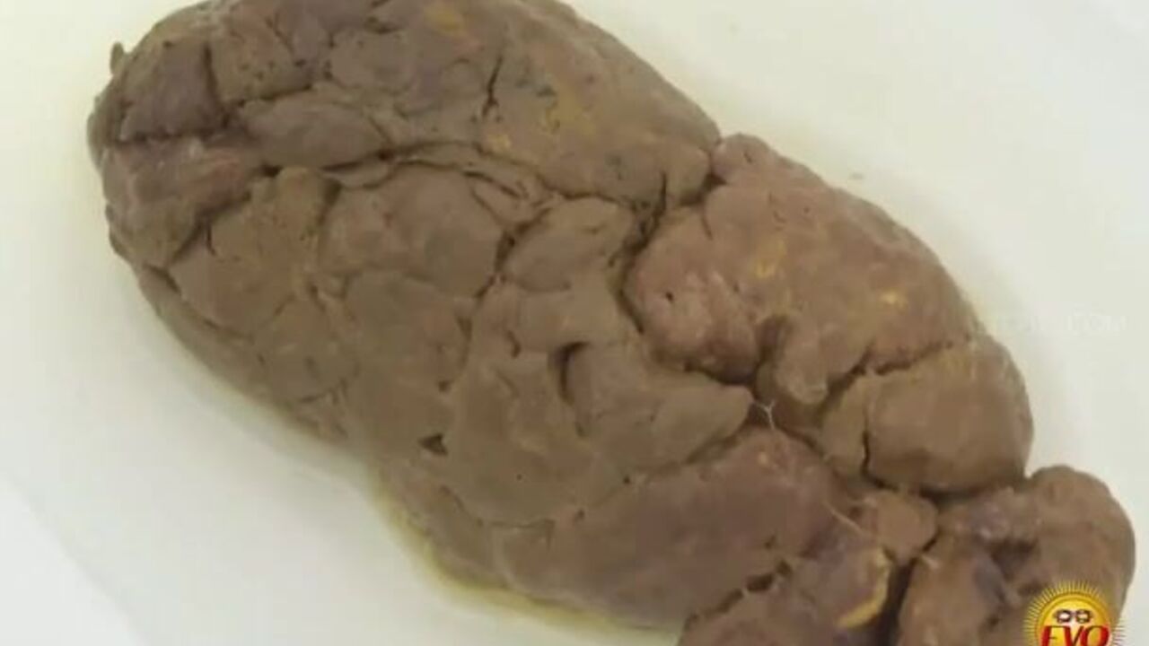 Watch this Asian dorm girl get her scat wet & dirty after a wild fuck session