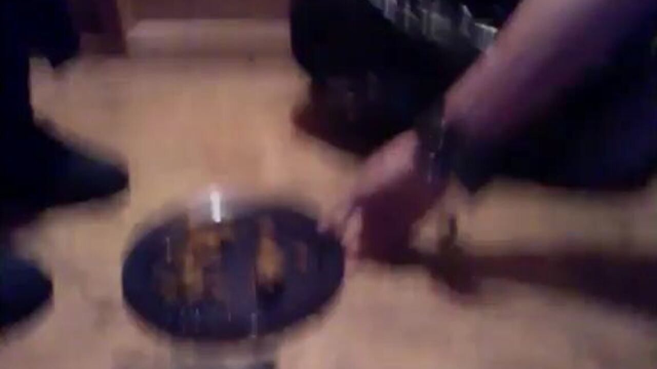 Extreme toilet slave scat-eating & ball-busting with a daughter in law