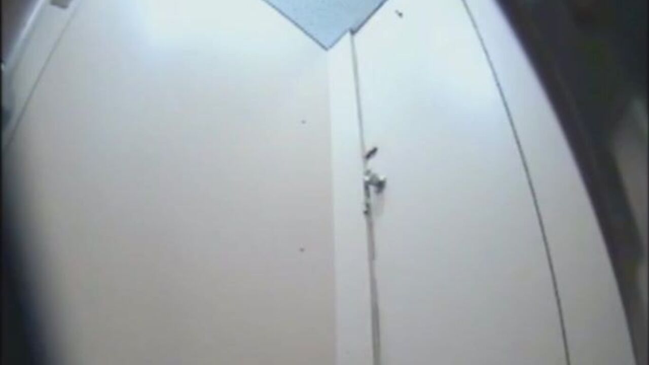 Watch how this scatty slut gets dominated in a hardcore scat porn video