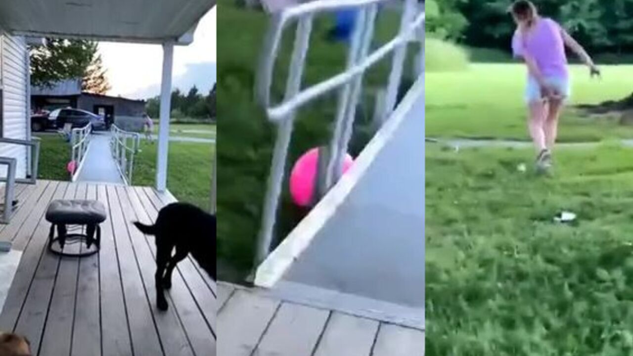 Unsuspecting babe takes a wild ride with her own scat and enema