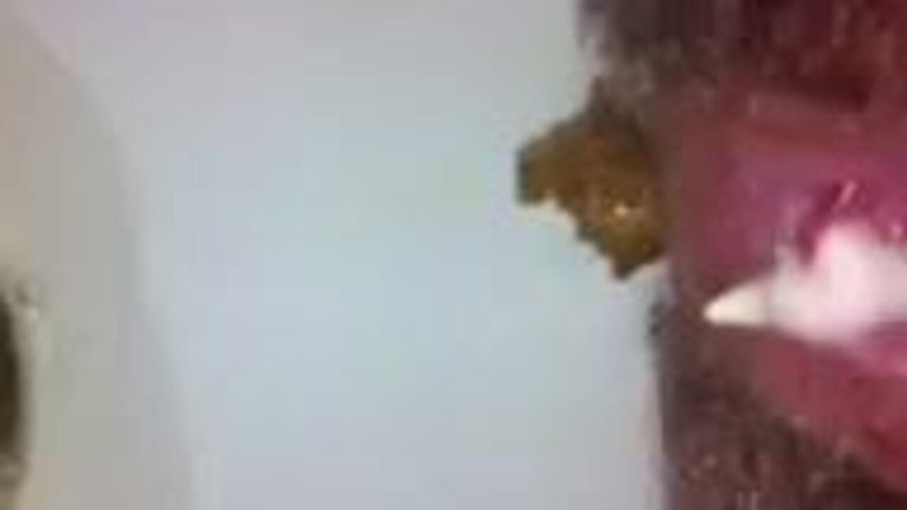 Watch this filthy scat porn video featuring a scat girl getting her holes stuffed with shitting and shitting action!