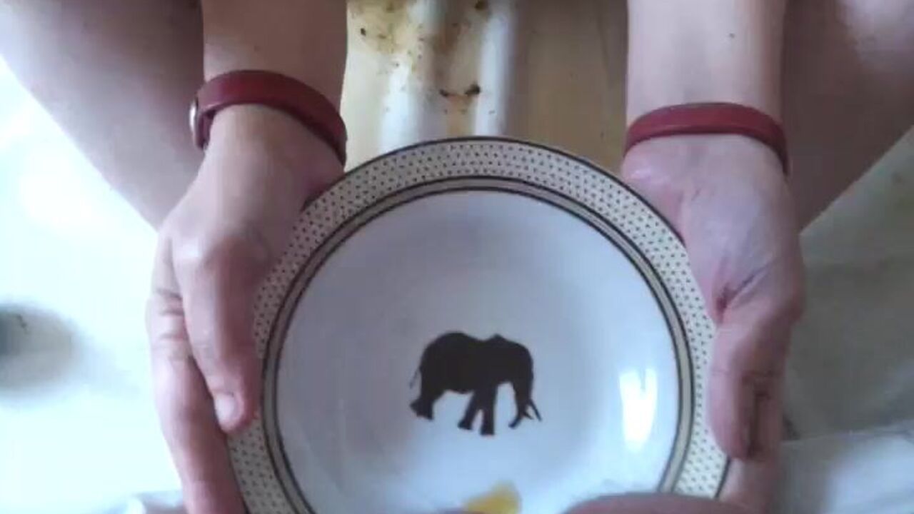 Watch this filthy slut get her scat pounded in a wild scat video!