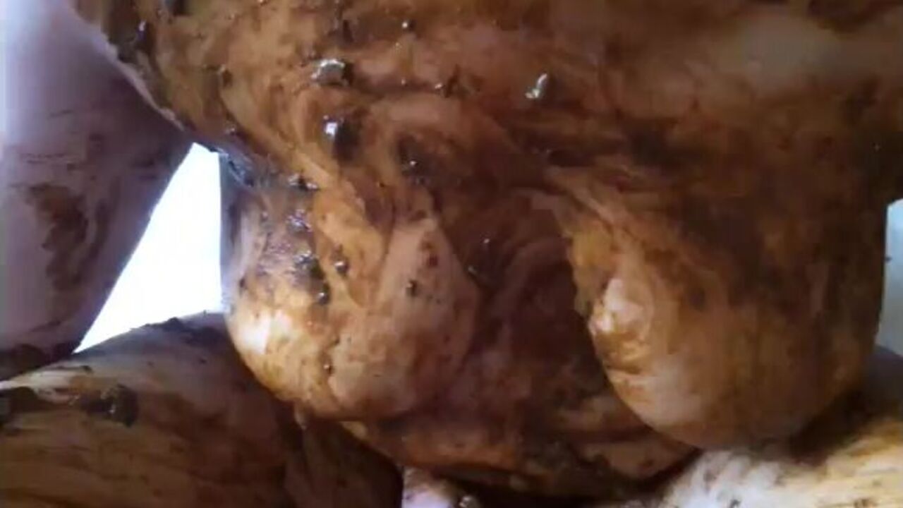 Elle's hot lunch with Mr. Fog: Extreme fisting and scatting for a filthy slave