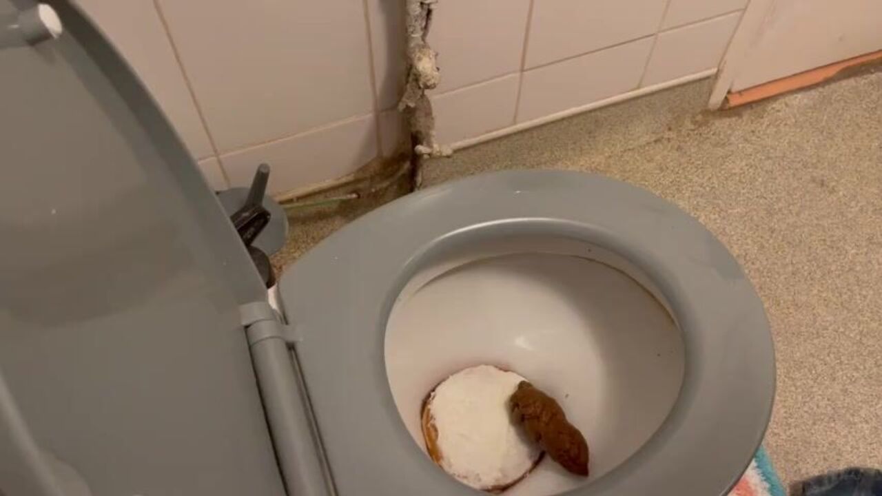 Watch this worthless scat piggy get down and dirty with a cake and cake-eating skills that are beyond compare!