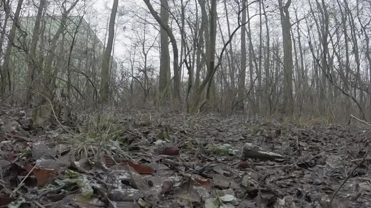 Intense scat porn with kinky slaves and their masters