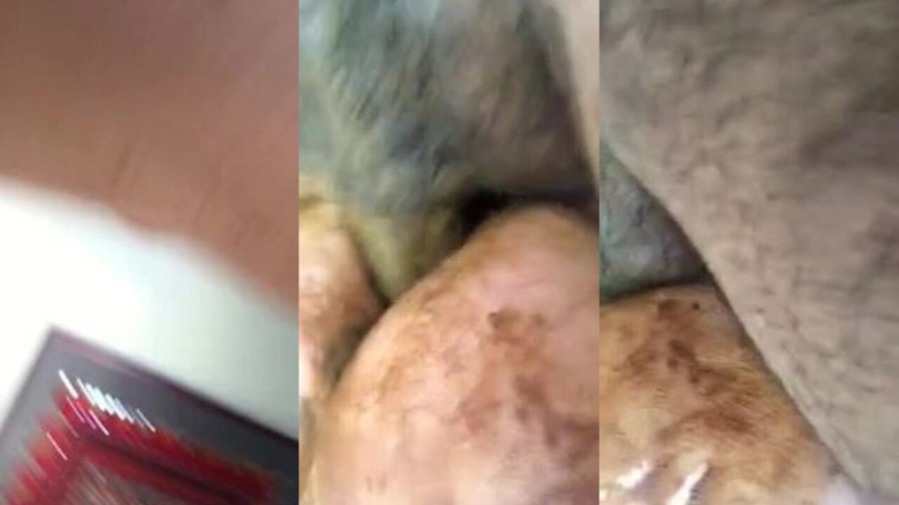 Get up close and personal with this filthy scat video - Dirty Fuck Closeup