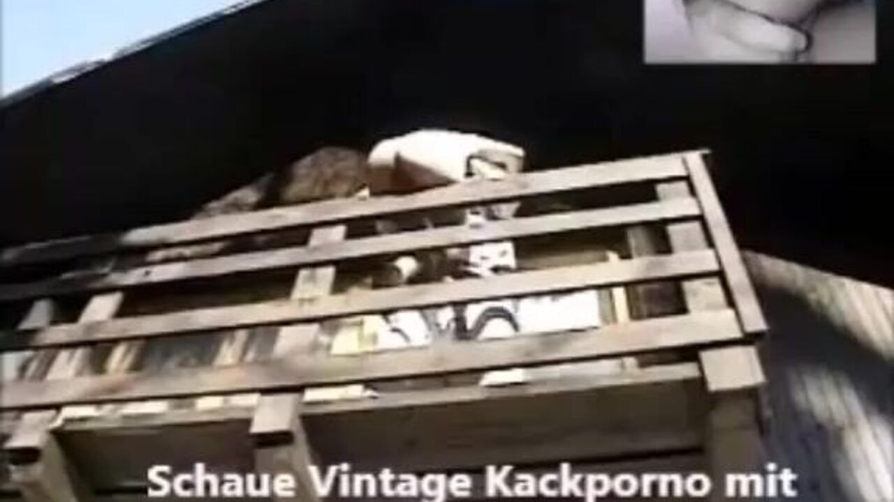 Watch this kinky slut get her scat fetish satisfied in this filthy porn video