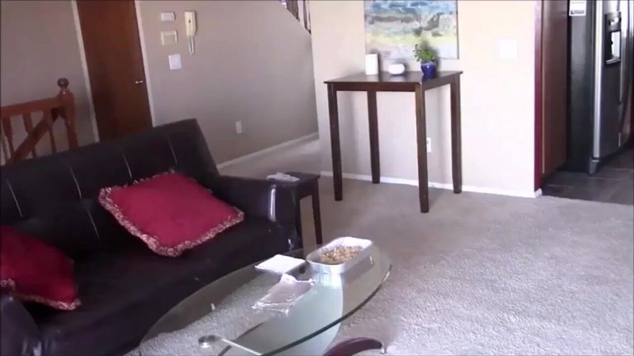 Watch this filthy scat porn video with scat pornstar and her special ingredienents