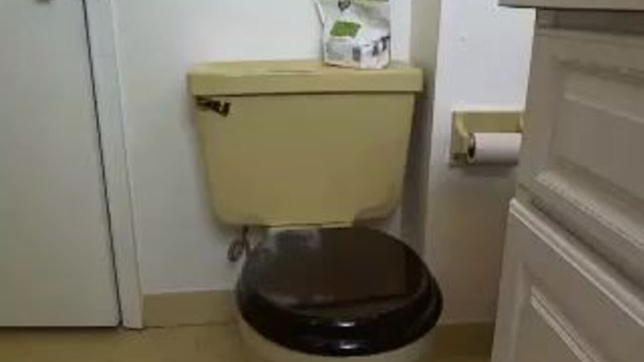 70WVWEq5cKTqGw6: A filthy porn video with a scatty slut in it