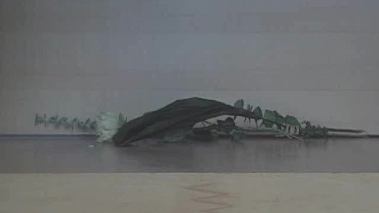 Watch this kinky scat porn video featuring a filthy slut getting her pussy and asshole drilled hard!