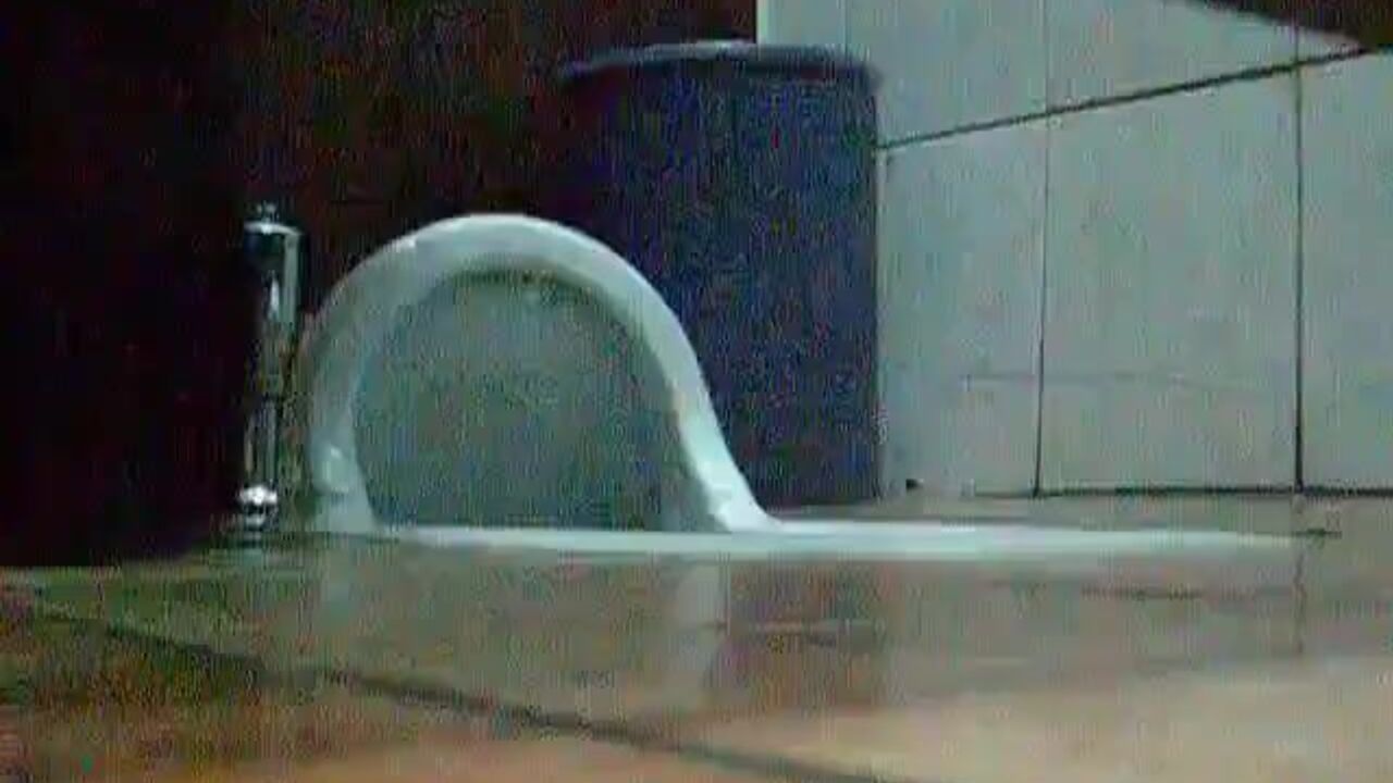 Watch as scat porn gets stolen & resold for cash