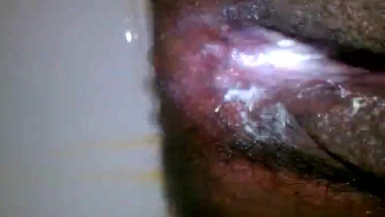 Watch this dirty porn video featuring scatty babes getting their pussies drilled in a wild scat session!