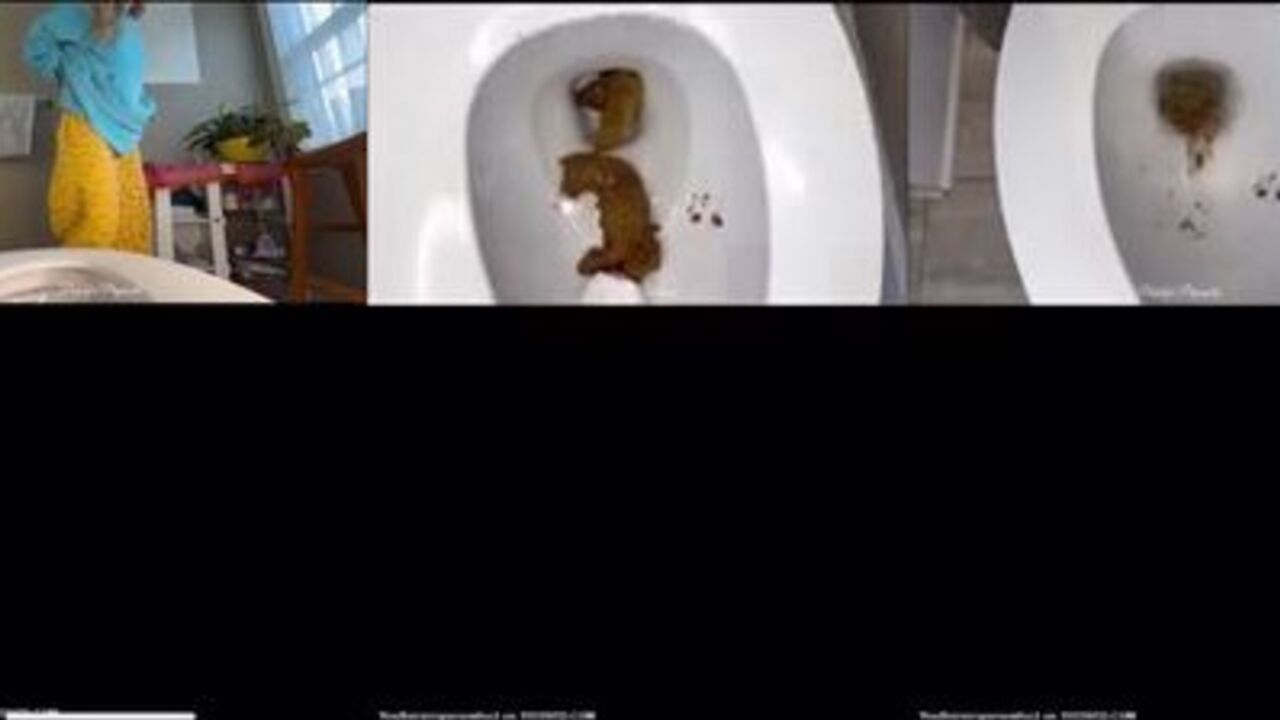 Watch these scat-filled babes get off in wild wanking action - Sur wc 2