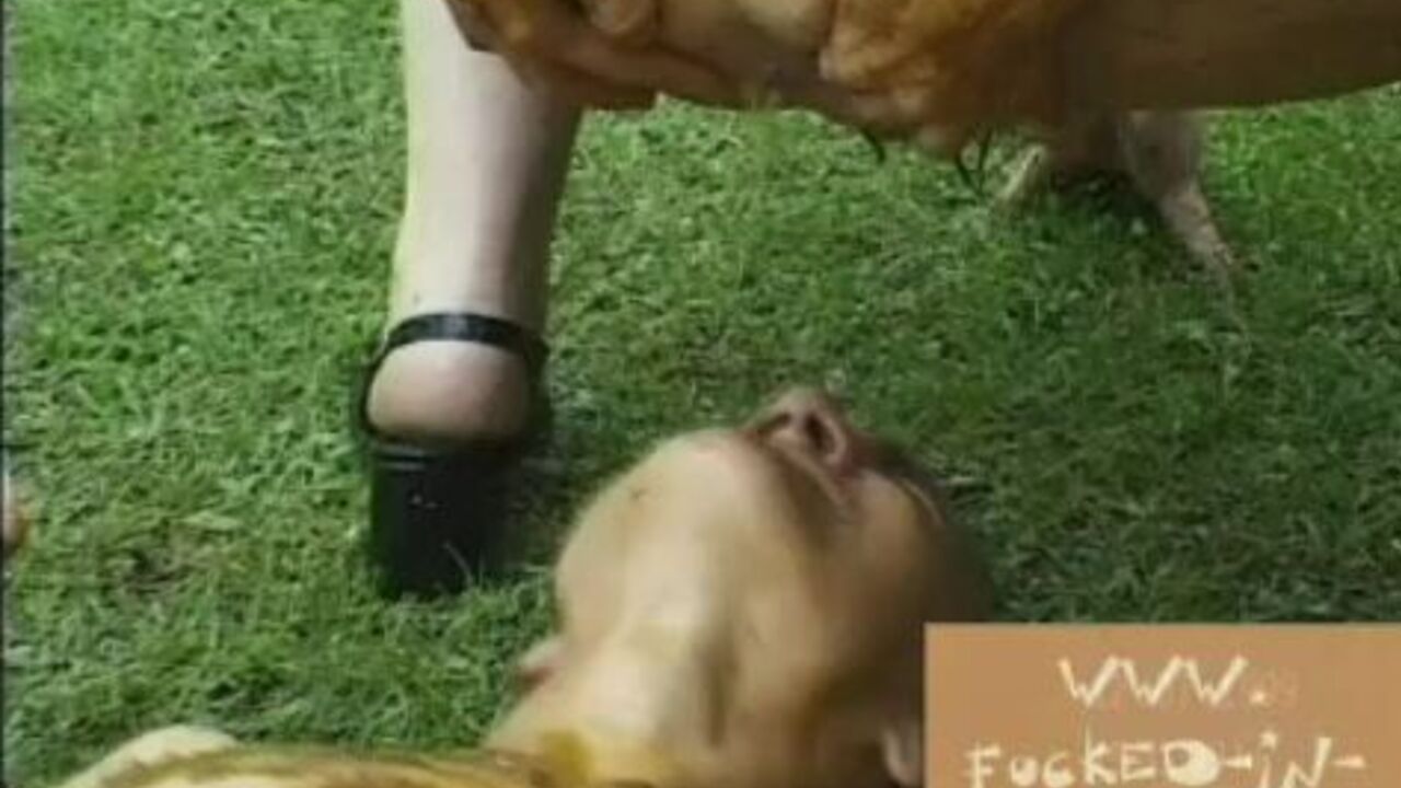 Watch Extreme-Scat-Girls-4: The Scat Fetish Epidemic in HD!