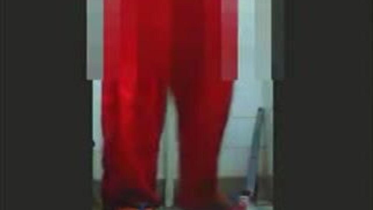 Get a wild morning call with a scatty babe in the woods