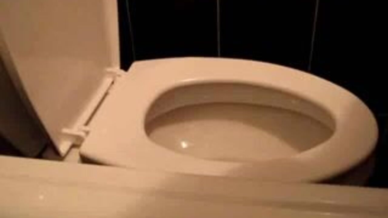 Watch this kinky girl scat on toilet & make youalloween