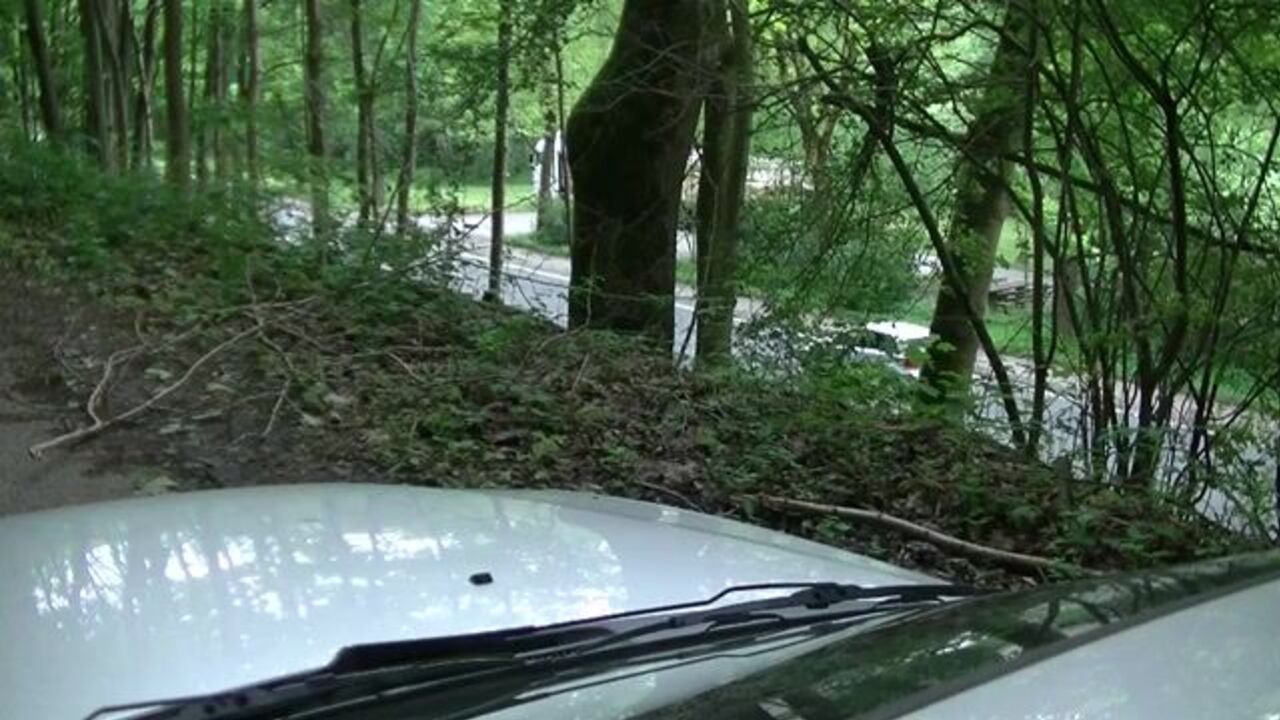 Kinky scat porn: Pissing and diarrhea on the hood of a car