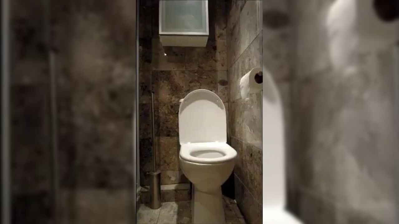 Blonde slave shits on toilet & gets punished with scat sex