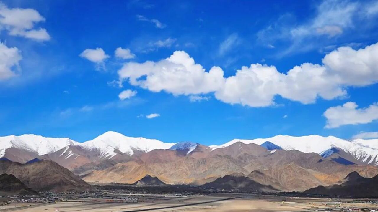 Watch the Obese Toilet Pig get a taste of filthy scat in Part 4 of 4!