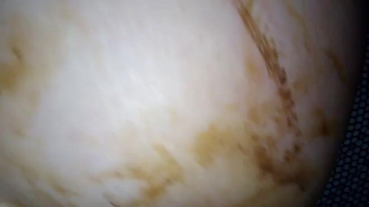 Watch this filthy scat video of a scatty slut getting her ass drilled in POV