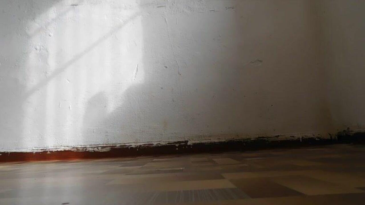 Dirty scat porn with a scat-loving slut in hot action!