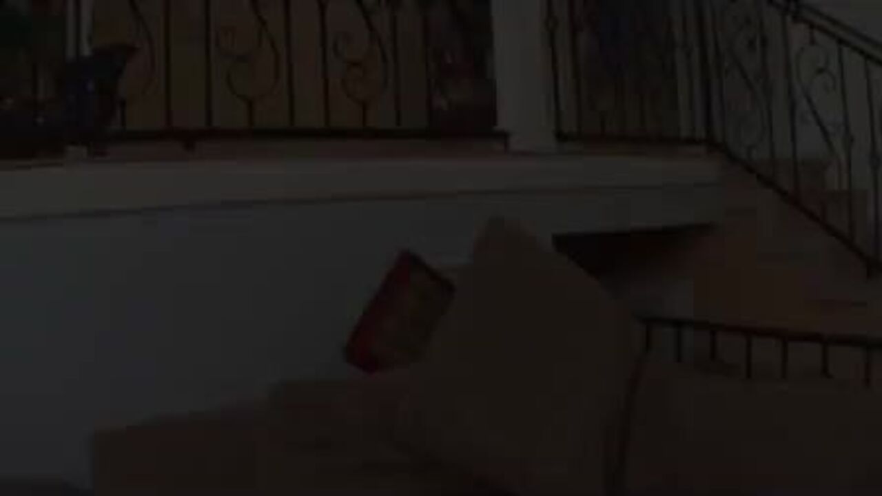 Nicole Ferrera, the taboo Latina daughter, plays a roleplay with her father in a hardcore combatzone