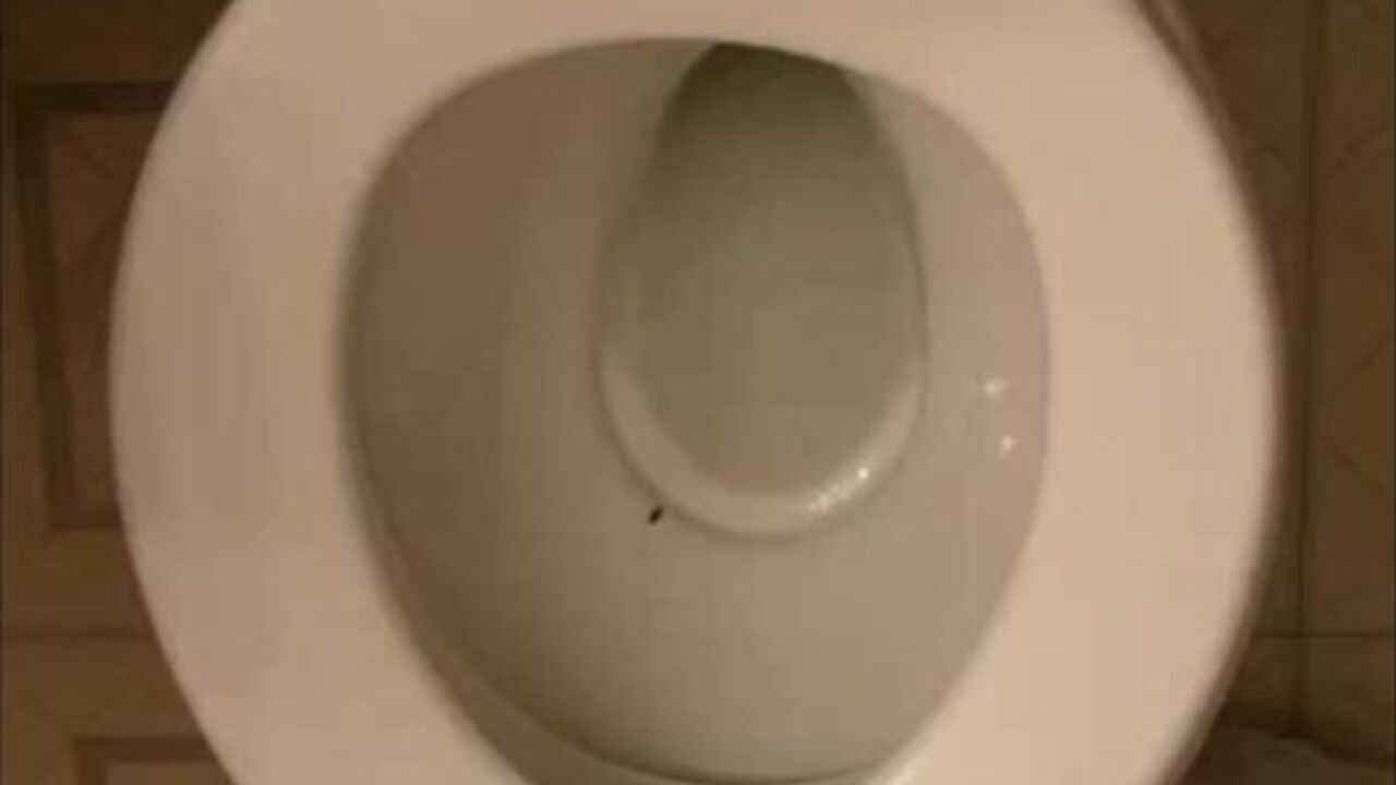 Watch Ma Nana Sur Le Pot Get Herself off with a Solo Masturbation Session