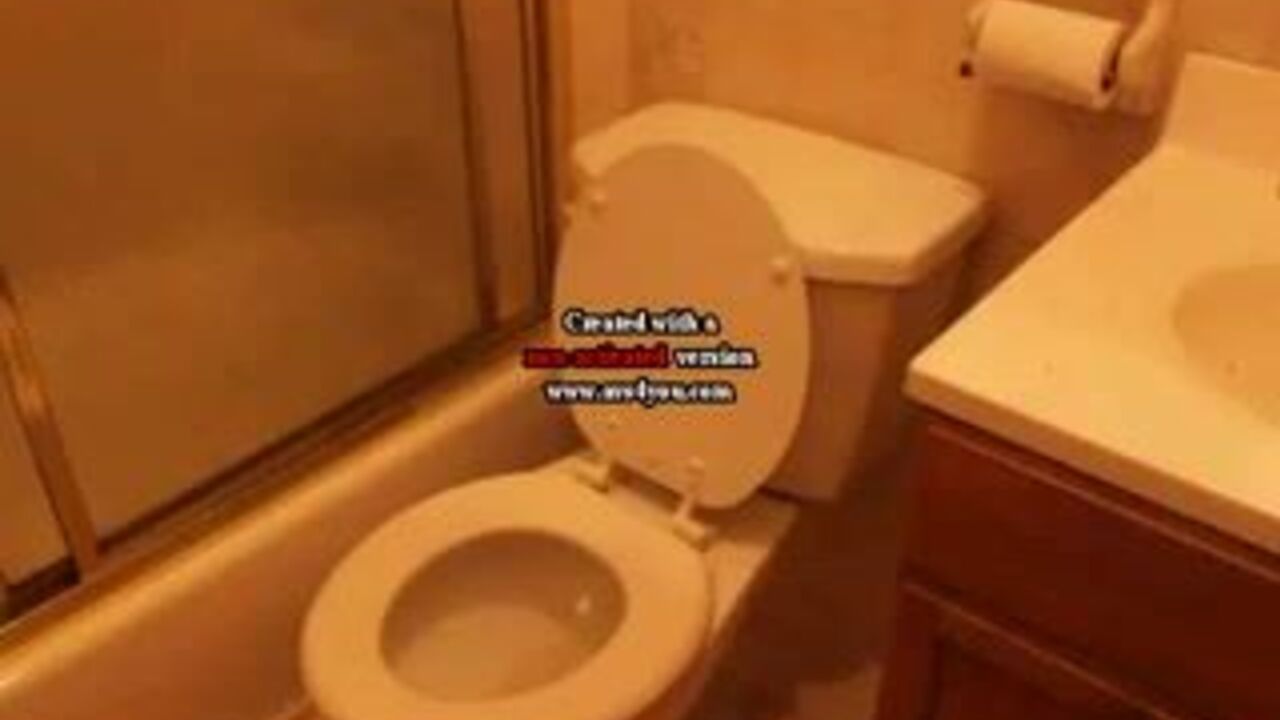 Watch this filthy porn video featuring scat porn, farting and plops!