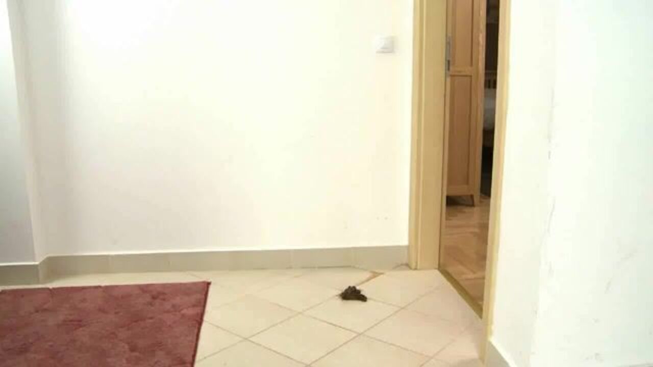 KA_118-06: Scat porn with a dirty scat girl and her kinky side