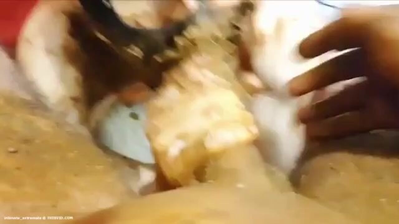 Watch these kinky couples scat in a wild fetish video