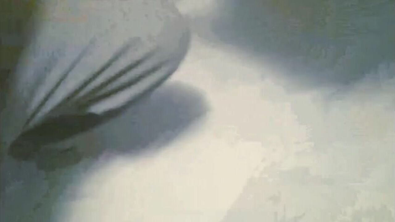 Watch this kinky scat porn video of a piss drinker getting down and dirty with a piss-crazed eater