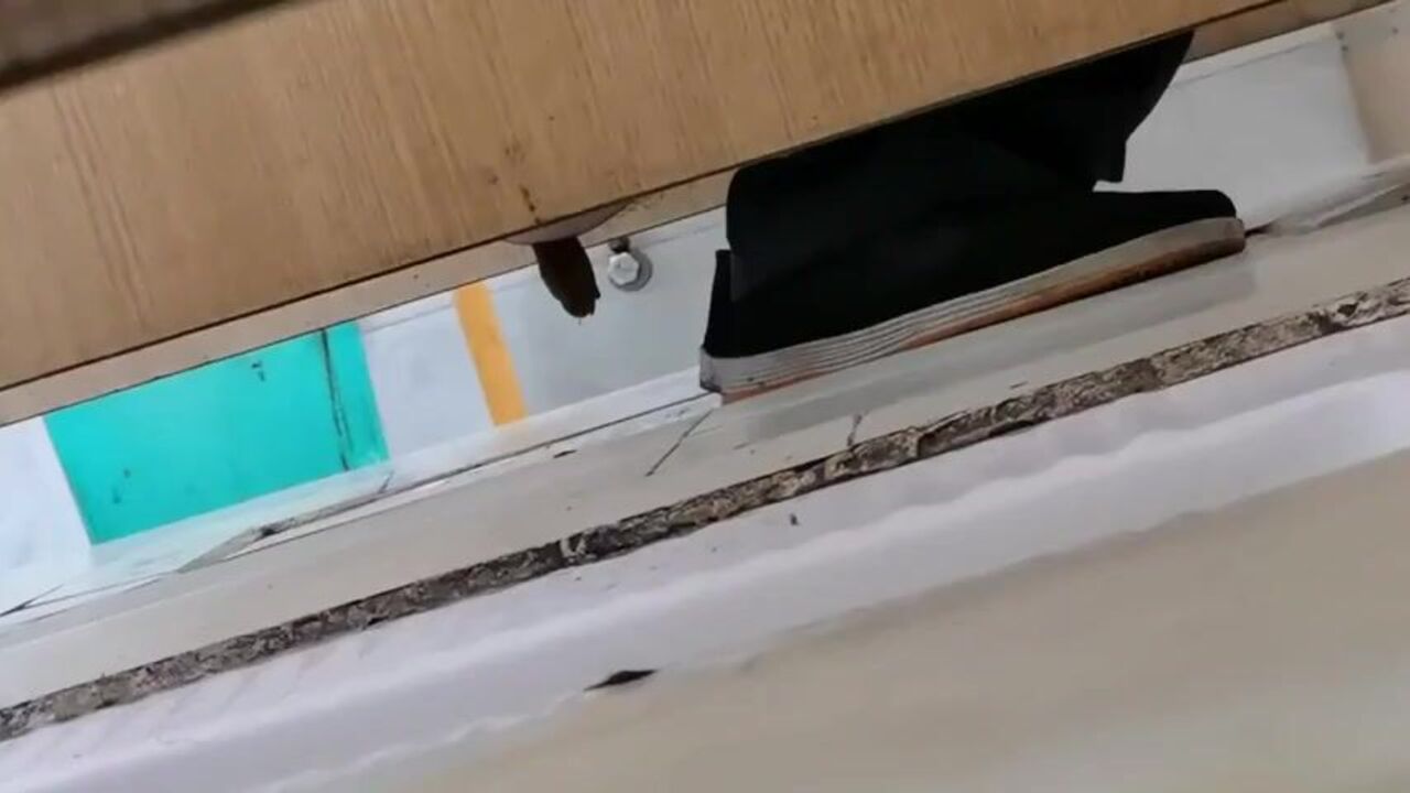 Watch these guys get down and dirty with their own scat and pooping in a toilet