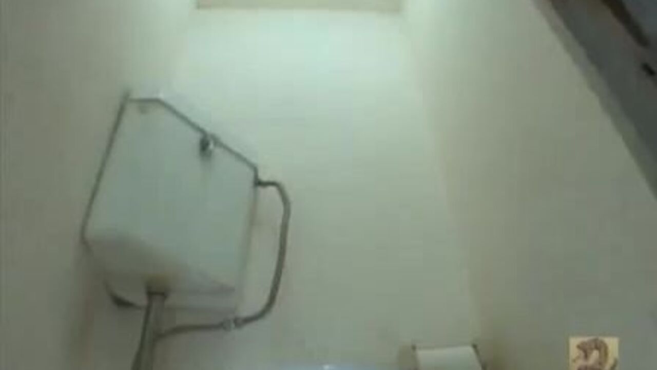 Watch this kinky Japanese nurse pee on the hospital toilet in a filthy video