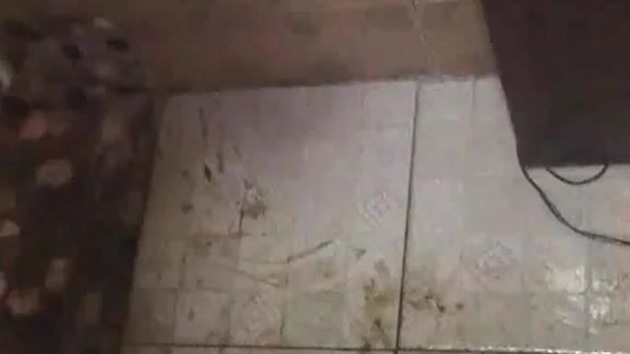 Thai honey bee gets a wild gangbang with scat, honey, and golden showers