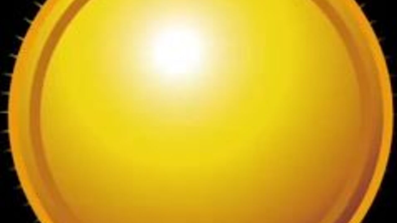 Watch these dirty scats get filthier with each other and with you!