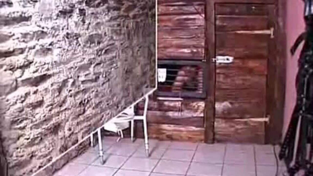 Femdom mistress cooks scat for her slave's dinner