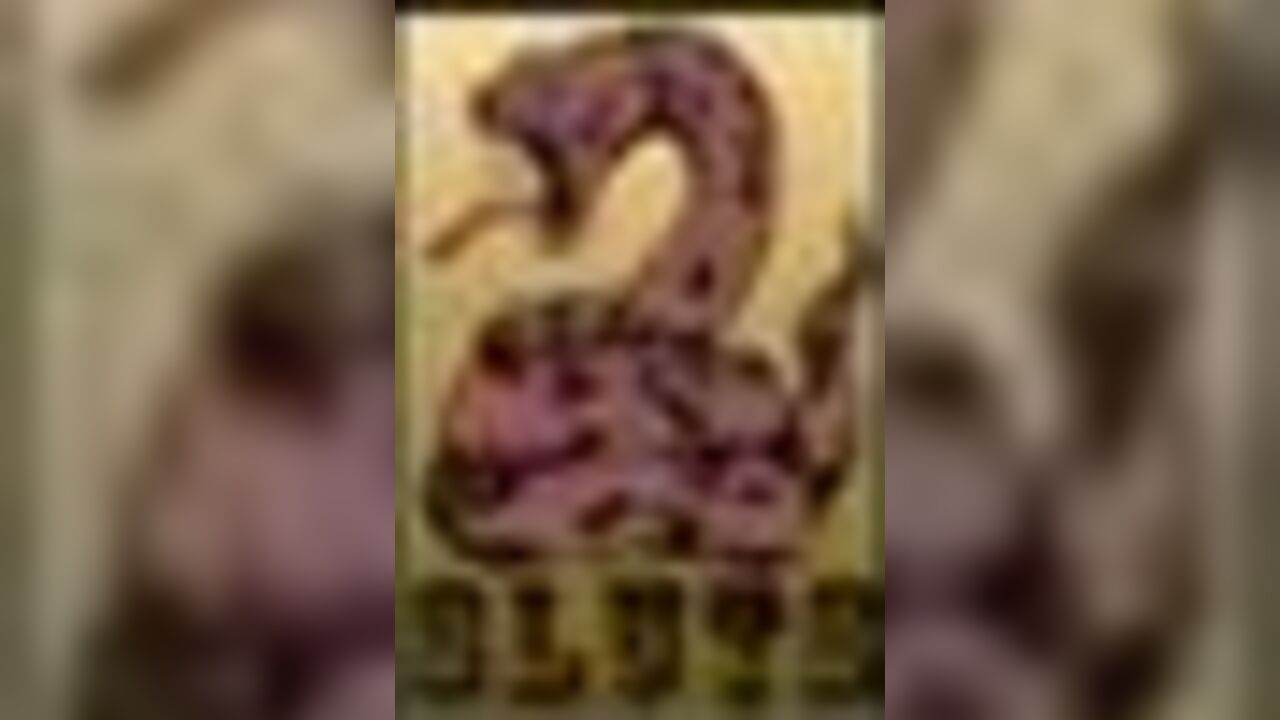 Watch these filthy sluts get their scat fix in this wild scat porn video!