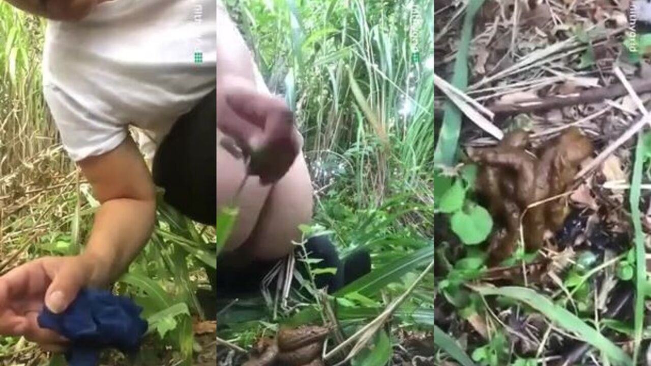 Get off to this filthy video of a scat slave getting drilled hard