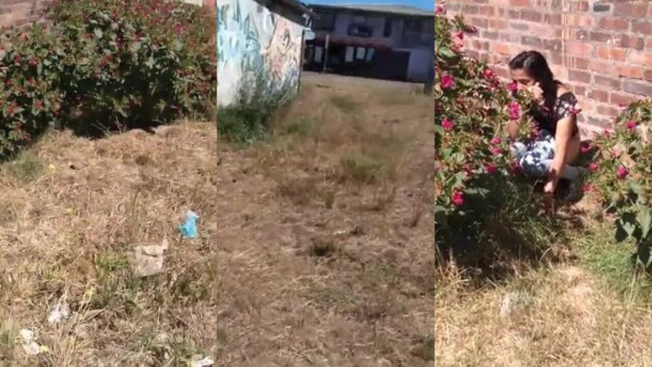 Watch this kinky porn video of a filthy slut getting her scat wet