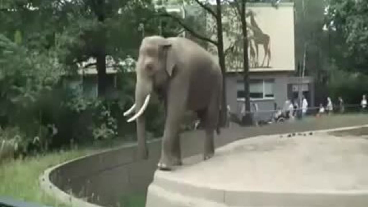 Get ready to lose your mind as you enjoy the ultimate scat porn experience