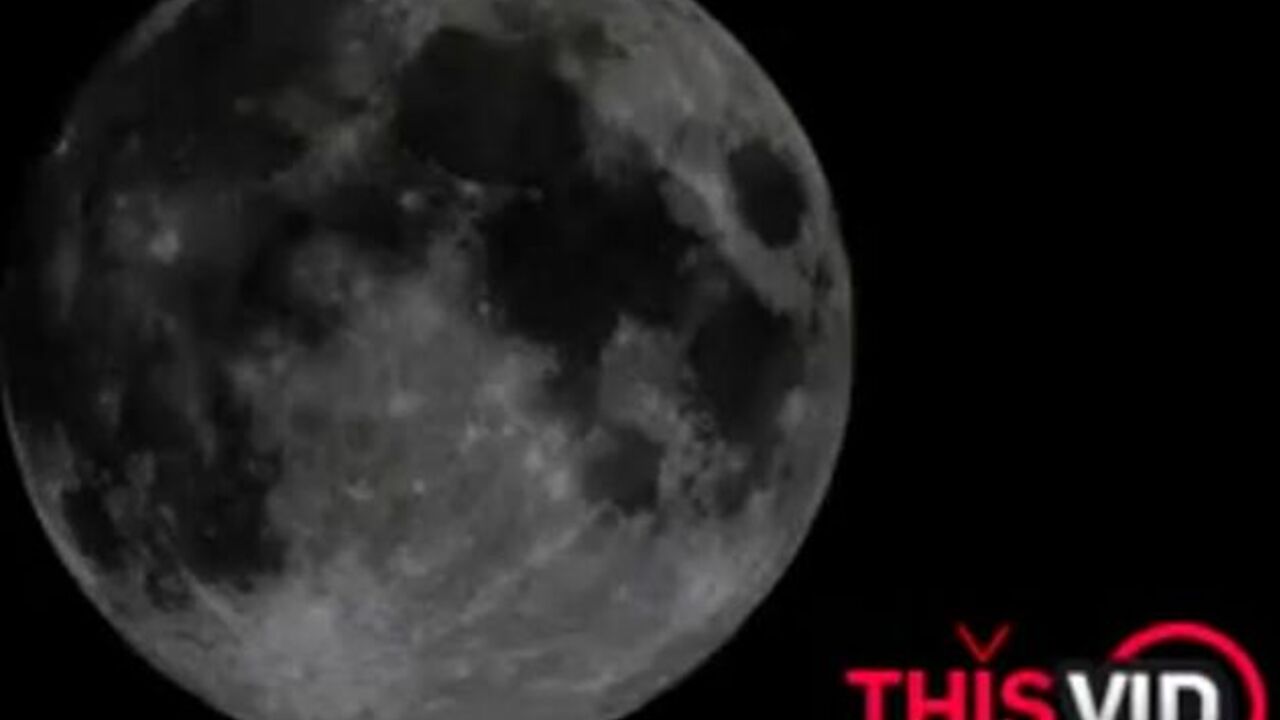 Get a sneak-peek of Betty's scat collection, featuring drooling, puke-covered faces and vomiting