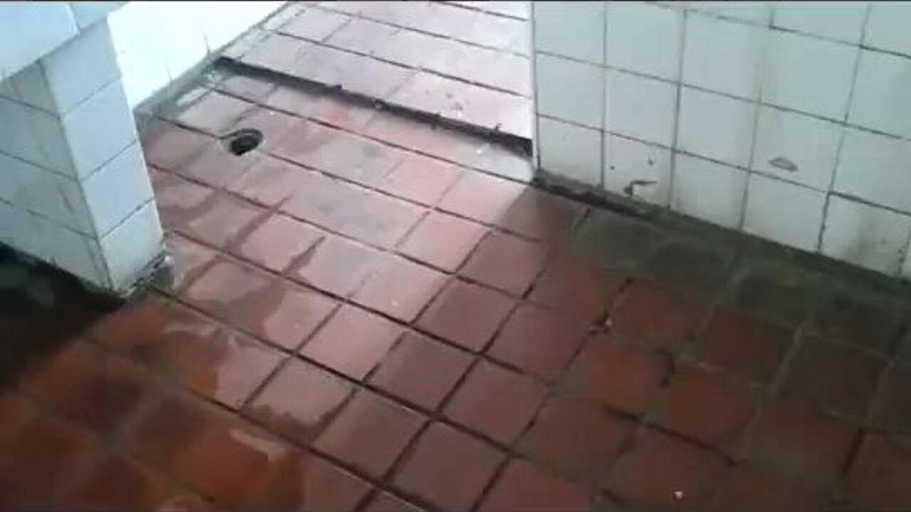 Get off to this filthy scat video featuring a scat slave getting fucked hard and dirty