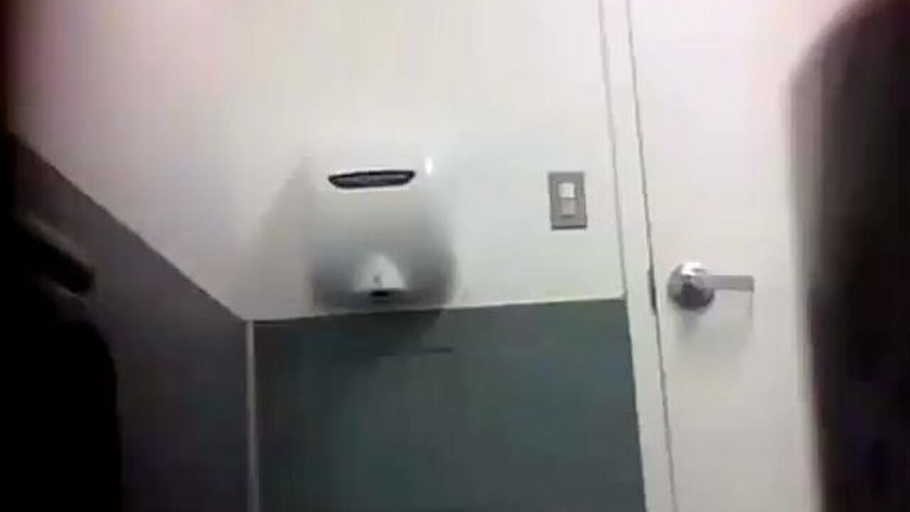 Big-titted MILFs caught on scat porn showing off their hot bodies