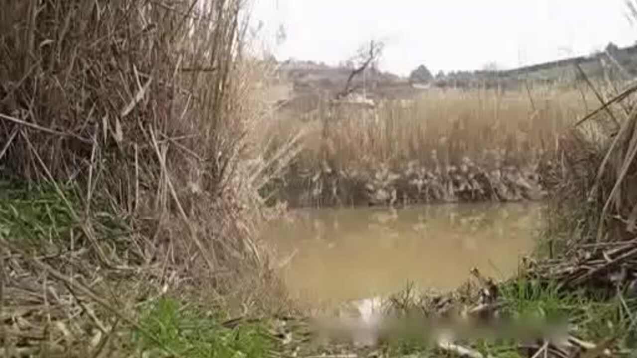 Watch this filthy slut get her scat filled with warm piss in a pond