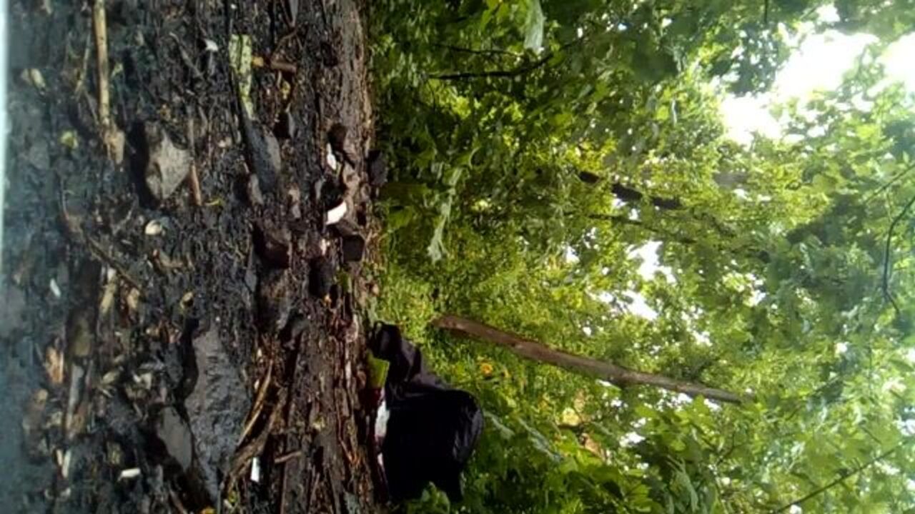 Watch this blonde slut get her backside pooped in the forest